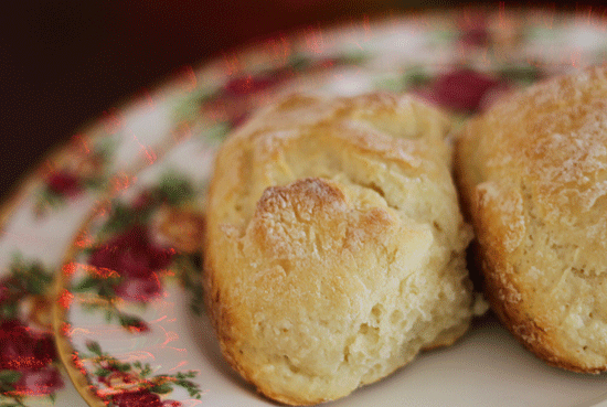 [yogurt biscuits]<br>© 2013 Copyright www.cssrule.com All Rights Reserved